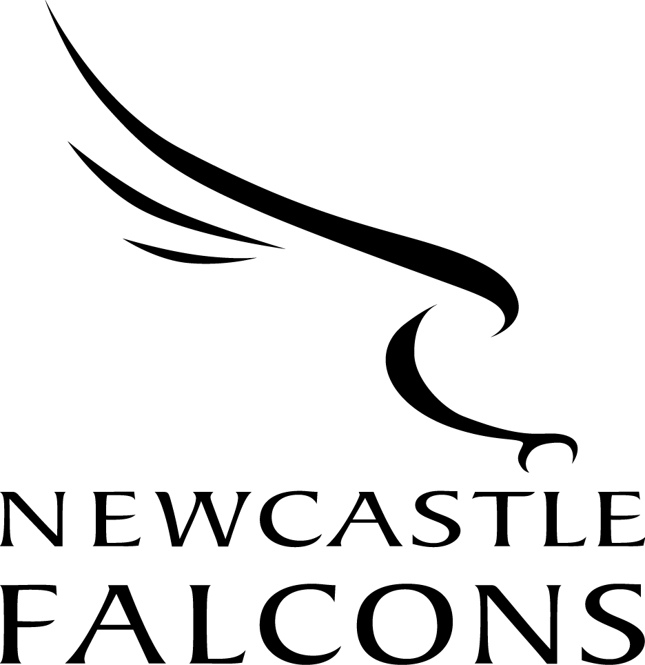newcastle falcons pres primary logo t shirt iron on transfers